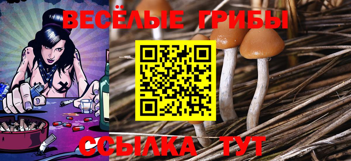 Галлюциногенные грибы мухоморы Елец